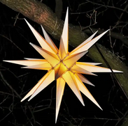 Weihnachtsstern. Pixelio.de. 17.12.2025. Nutzbar gemäß https://pixelio.net/de/media/749860-herrnhuter-stern-leuchtet-vom-baum